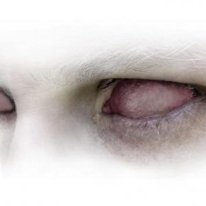 Brodi Dado - Elan Vital